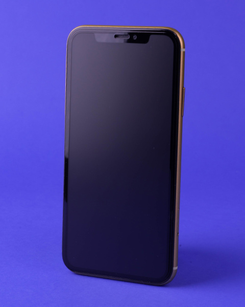 Защитное стекло Chizcase iPhone 12/iPhone 12 Pro блистер матовое черный