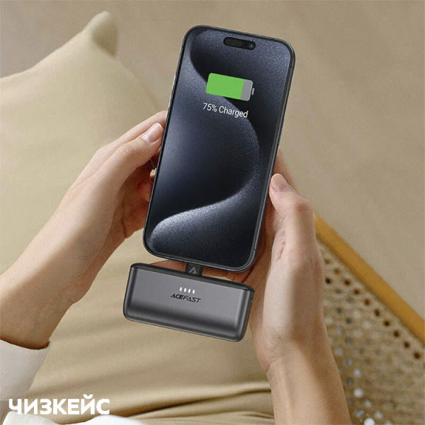 Внешний аккумулятор AceFast M9 5000 mAh (1USB-C, PD 20W) черный