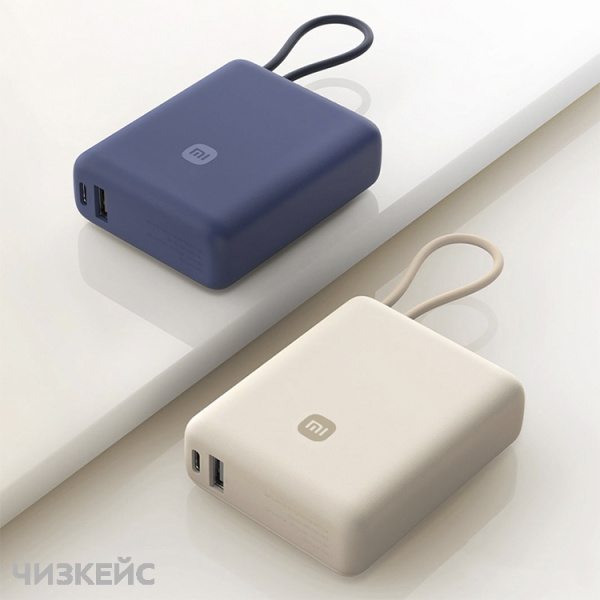 Внешний аккумулятор Xiaomi Mi 10000 mAh (2USB, Type-C, 33W) (PB1033MI) бежевый