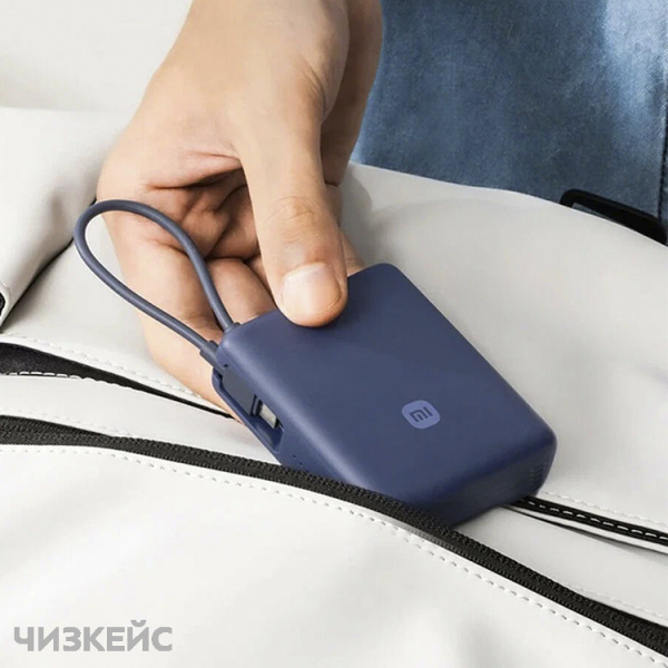 Внешний аккумулятор Xiaomi Mi 10000 mAh (2USB, Type-C, 33W) (PB1033MI) синий
